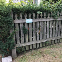 Fences