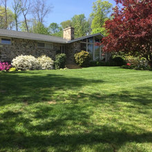 mid century house