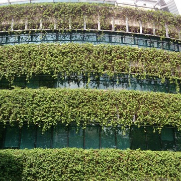 Singapore Management University