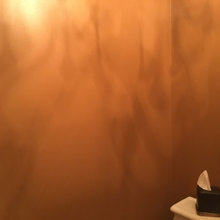 powder room