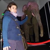 Adriana Diaconu's photo