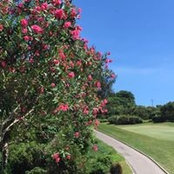 Michelle Ho's photo
