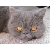 Geraldine Kelly's photo