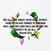 Sherry Lynn's photo