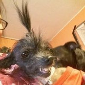 Elise Keith's photo