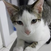 Foto di Mae Bueta