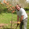 Andrew Tabor Landscape Design & Constructing's profile photo