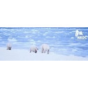 Laura Miles's photo