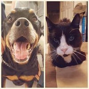 Samantha Lewis's photo