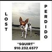 Michele Rohrer's photo