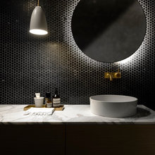 Powder Room/Guest Bathroom