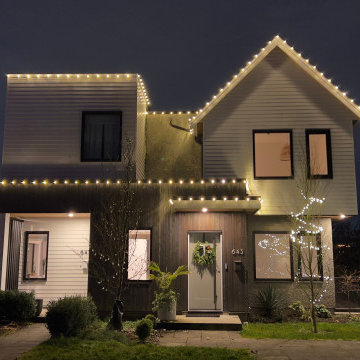Soft & Elegant Warm White Christmas Lighting