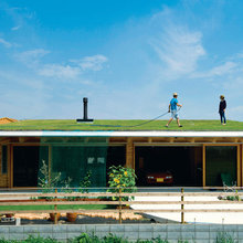 Roof Styles
