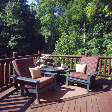 Blue Ridge Mountain Log Cabin