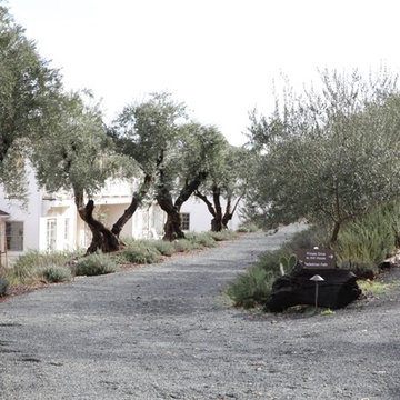Indian Springs Resort
