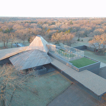 Houzz Tour: Wild Cats