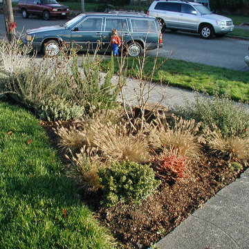 Full Front & Back Landscape - Ballard, Seattle