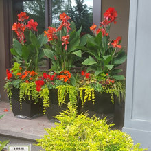summer planters