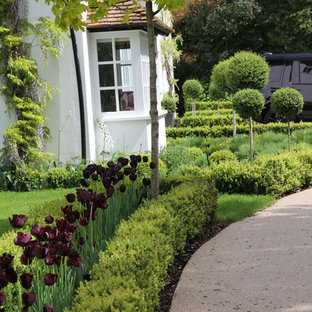 Photo of a modern garden in London.