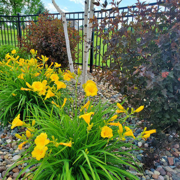 Garden & Landscape Collection