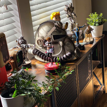 Houzz.com | Collector Figures, Model and Toys Display Cabinets Ideas