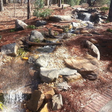 Ponds and Streams