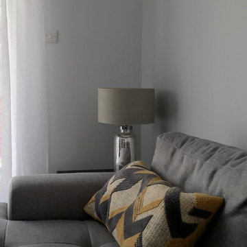 Light grey Living Room