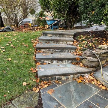 Rejuvenated Walkway and Driveway in Takoma Park Maryland