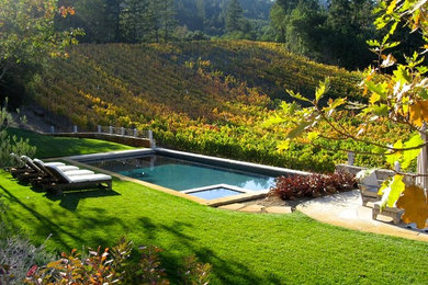 Hot tub - mid-sized contemporary backyard stone and rectangular hot tub idea in San Francisco