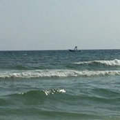 Michael Curry's photo