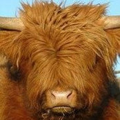 Elaine Munro's photo