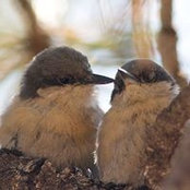 Anie Lemay's photo