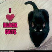 Sandra Ackerman's photo
