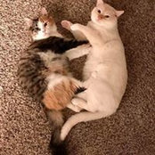Norma Bishop's photo