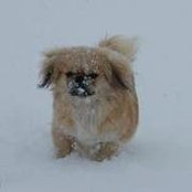 Debbie Parsons's photo