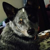 Tammy Grogan's photo