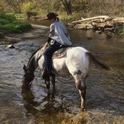 Ronda Johnson's photo