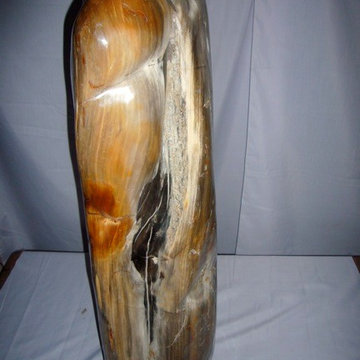 Petrified wood