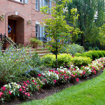 Landscape Planting Project Wyckoff, NJ