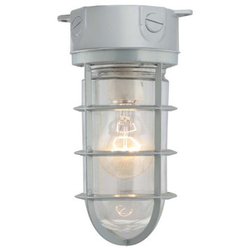 Volume Lighting 9850 1 Light 10" Tall Outdoor Ceiling / Wall - Silver Gray
