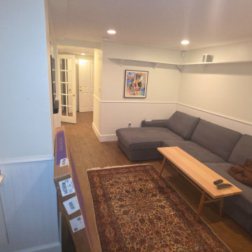 Mold Removal