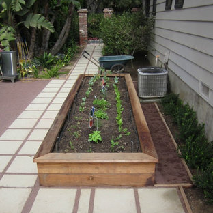 Kleiner Eklektischer Gemüsegarten neben dem Haus in San Diego