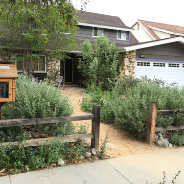 Theodore Payne Native Plant Garden Tour