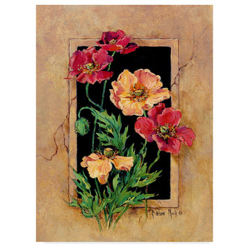 Barbara Mock ' Framed Poppies' Canvas Art