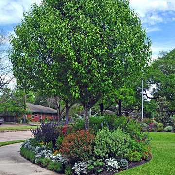 Cottage-style front yard in Braeswood Place
