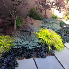 Landscape Design Redo