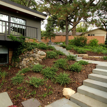 Mid Century Modern Frontyard