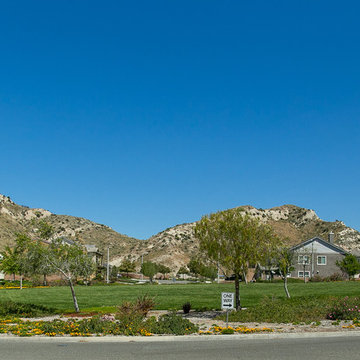 SoCal Entertainer's Dream Home: Prep for Sale / Landscaping / Clean + Touch Ups