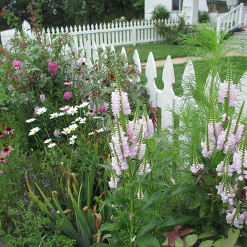 Beth's Garden 2014