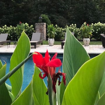 Pool Grounds